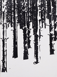 Ohne Titel (Wald), 2019

Epodixharz auf Papier, 51 x 38 cm
rückseitig signiert, datiert und beschriftet

AUSRUFPREIS: 1200.-